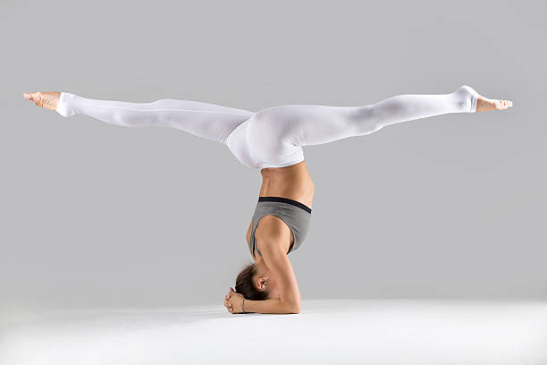 Young woman in headstand exercise, grey studio background Young woman practicing yoga, standing in headstand exercise, salamba sirsasana pose, working out wearing sportswear, white pants, bra, indoor full length, isolated against grey studio background shirshasana stock pictures, royalty-free photos & images