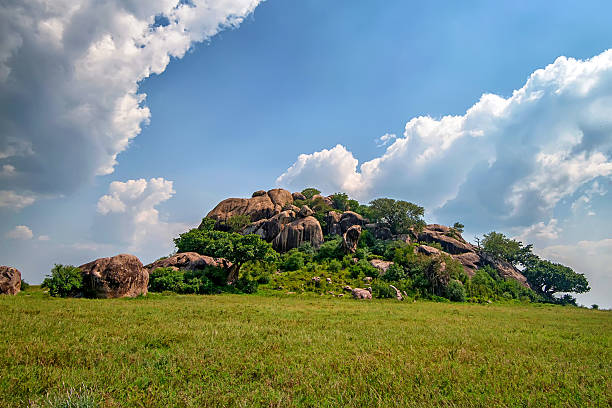 istock Koppie rock in savannah 637778830