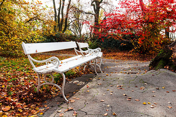 istock Bench in autumn park. Autumn landscape. 637781226