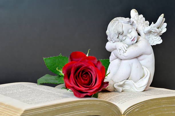 istock Angel, rose and old book on dark background 637781798