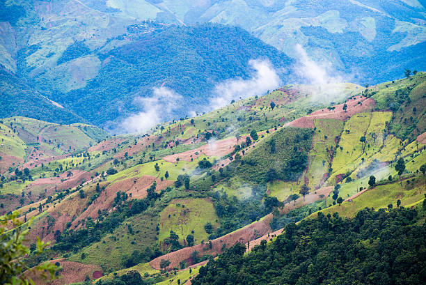istock Mountain farming in Thailand 637786180