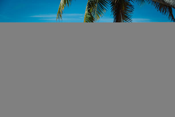 istock happy loving couple on tropical beach 637786726