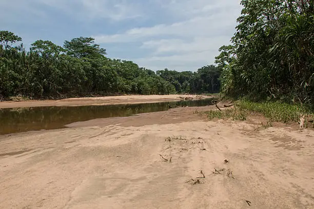 Beni, Bolivia- November 5, 2016: A sandy beach rivera,  next to a dark waters river,  in the middle of Bolivian Amazon rainforest, during the dry season.  The vegetation has an deep green tone, and the calm water reflects some of the colors.