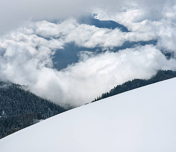 istock top of the mountain down, above the clouds, forest 637794730