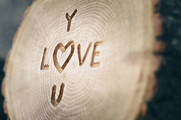 istock Woodcarving. Inscription Love. heart symbol. Background for your design 637795162
