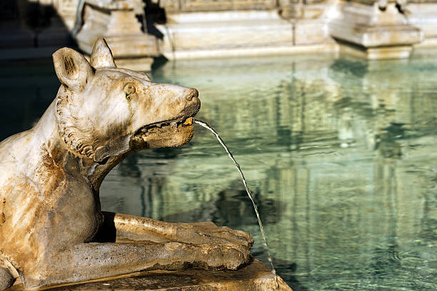 istock Fonte Gaia - Siena Tuscany Italy 637796692