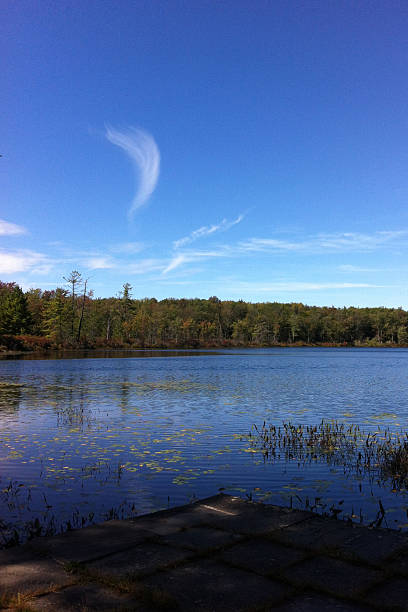 istock Wispy white clouds over lily pad lake 637797240