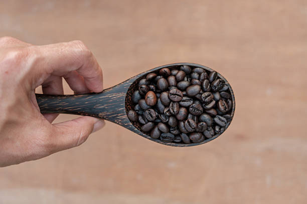 istock Roasted coffee beans in wood spoon. 637797458