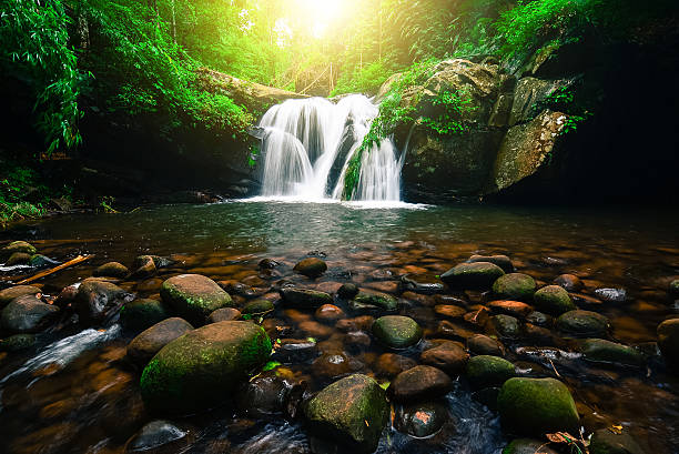 istock Waterfall with red maple leaves on stone of green moss 637800438