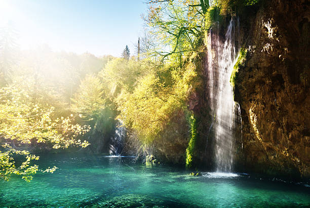 istock lake in forest, Croatia, Plitvice 637803662