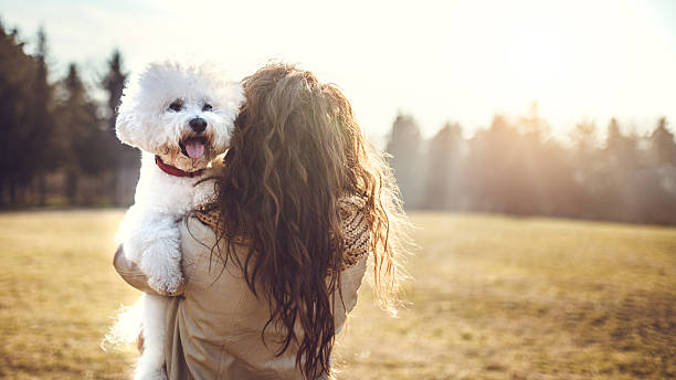 mon chien va avec moi partout - pets grass scenics dog photos et images de collection