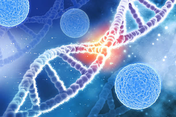 3d 의료 배경 바이러스 세포 및 dna 가닥 - bacterium biology flowing vascular 뉴스 사진 이미지