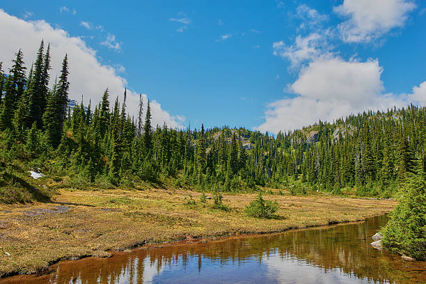 istock Beautiful nature lake with mountain 637810926