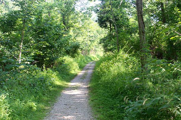 istock Gravel Nature Trail 637812956