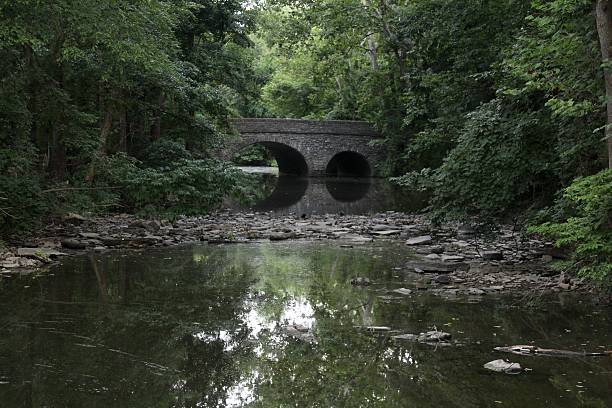 istock Creek in the Tree Area 637813872