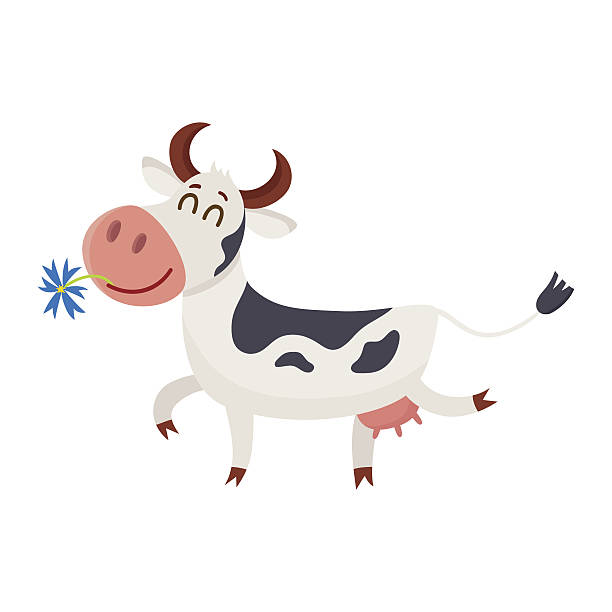 chemaj krowa plamista z zamkniętymi oczami i stokrotką w ustach - single flower small agriculture nature stock illustrations