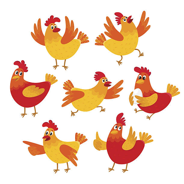śmieszne kreskówki czerwony i pomarańczowy kurczak, kura w różnych pozach - bird animal standing nature stock illustrations