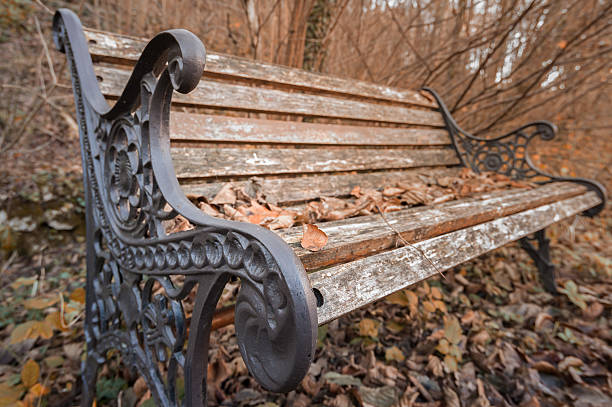 istock Bench in the Park in autumn. 637815162