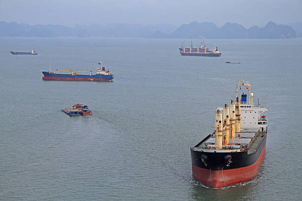 베트남 북부 하롱시 - cruise ship business retail freight transportation 뉴스 사진 ��이미지