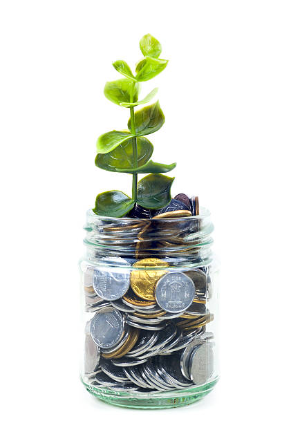 istock coins in jar with plant , savings concept 637817486
