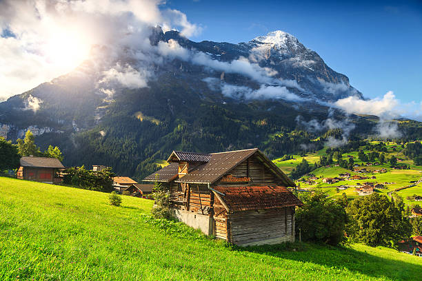 Amazing Grindelwald resort and Eiger mountains, Bernese Oberland, Switzerland, Europe Fabulous alpine wooden houses, green fields and famous touristic Grindelwald town with high North Face of Eiger mountains, Bernese Oberland, Switzerland, Europe grindelwald photos stock pictures, royalty-free photos & images