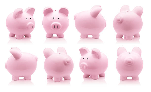 Pink piggy bank set isolated on white background