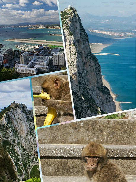 istock Collage of Gibraltar (my photos) 637824002