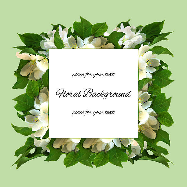 istock background texture made of apple brunch and place for text 637824678
