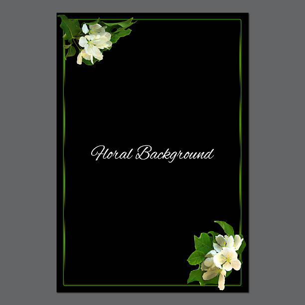 background texture made of apple brunch with white flowers and place for text