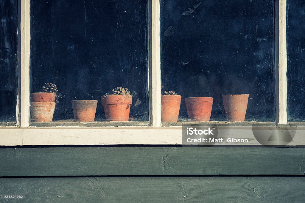 Dying plants window of old vintage retro potting shed Dying plants on pots in window of old vintage potting shed Flower Pot Stock Photo