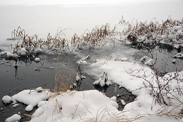 istock Winter on the lake. Beautiful views thawed 637825316