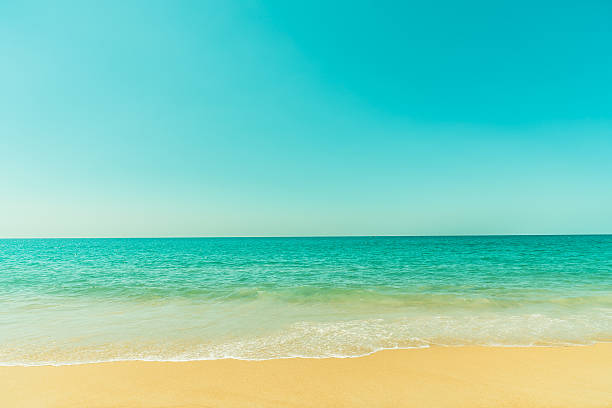 istock Beautiful beach and sea 637826194