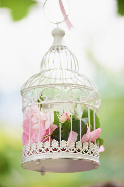 istock Pink flowers in beautiful vintage birdcage. 637828044
