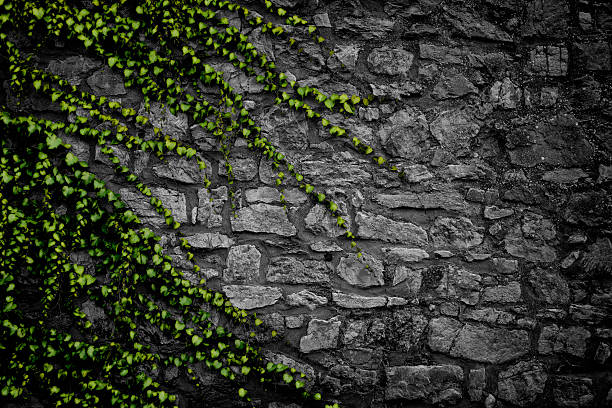 facade view of the stone wall for design background
