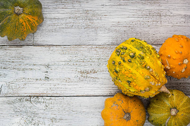 istock Different kind of pumpkins and winter squashes 637828908