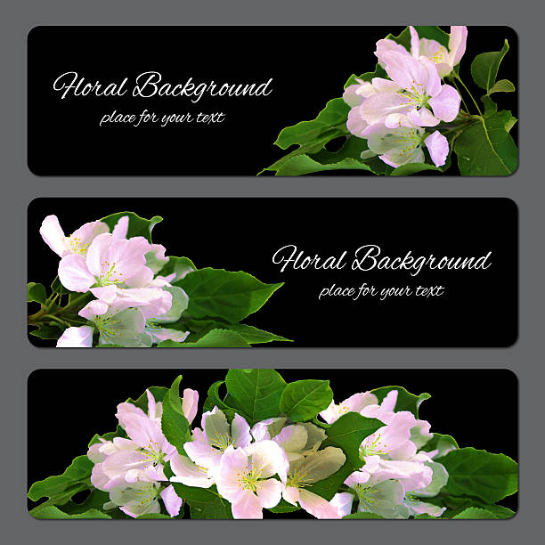 background texture made of apple brunch with white flowers and place for text