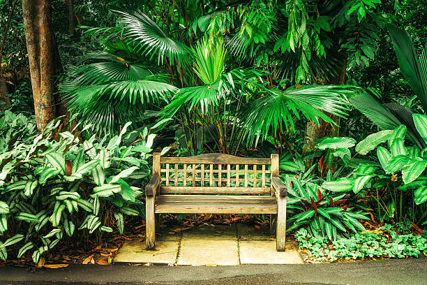식물원의 벤치 - editorial asia singapore park 뉴스 사진 이미지