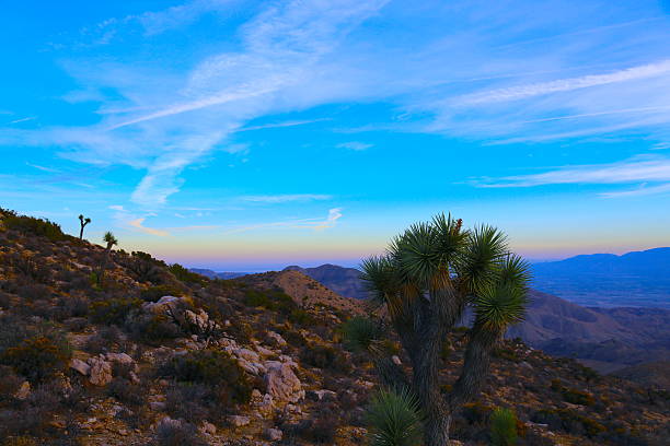 istock Keys View in Joshua Tree National Park 637832254