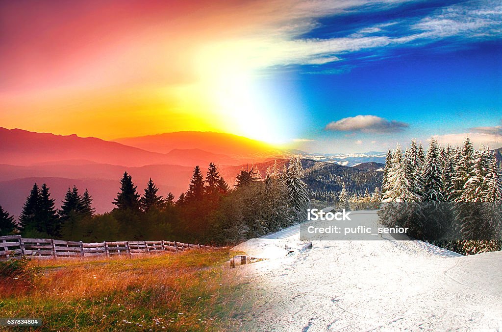 Beautiful landscape in four seasons Tree, Season, Winter, Springtime, Bare Tree Winter Stock Photo