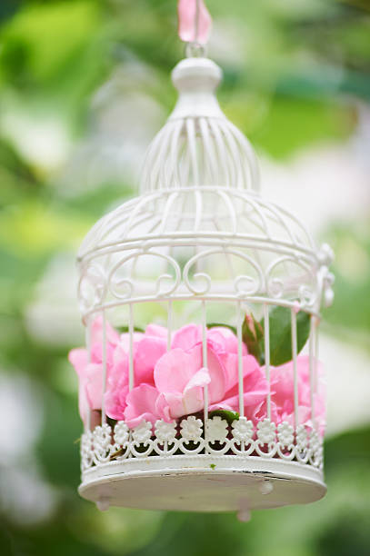 istock Pink flowers in beautiful vintage birdcage. 637835202