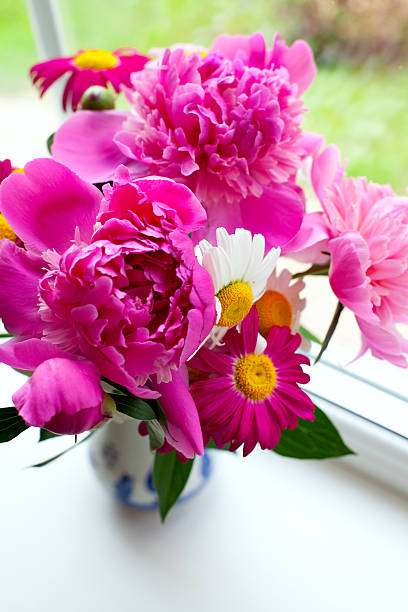 istock summer bouquet on window-sill 637836522