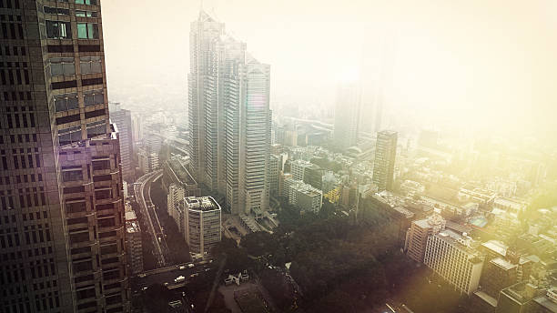 istock Bright gloomy day in Tokyo 637838646