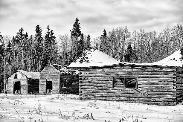 istock Crumbling sheds and cabin 637839292