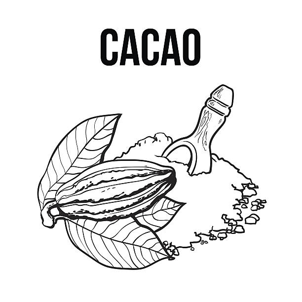 ilustrações de stock, clip art, desenhos animados e ícones de heap of cocoa powder with wooden scoop and cacao fruit - spoon white background side view nature