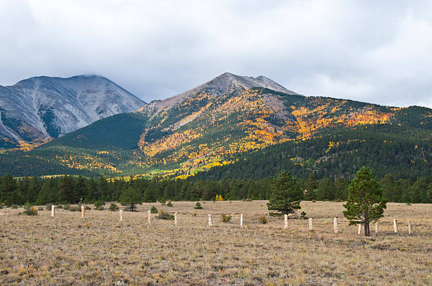 istock Mount Princeton Autumn Colors 637839862
