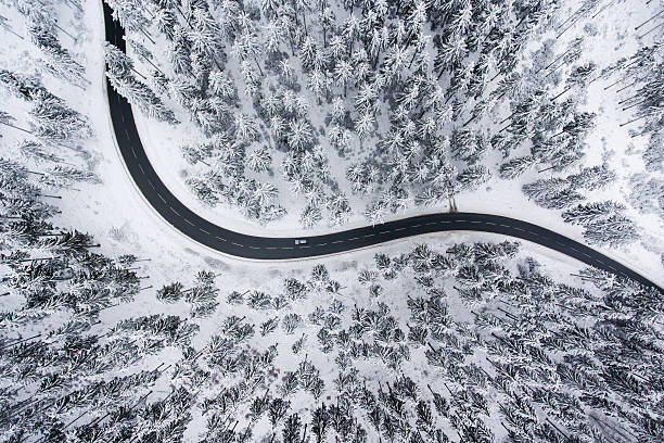Road through the wintery forest - aerial view