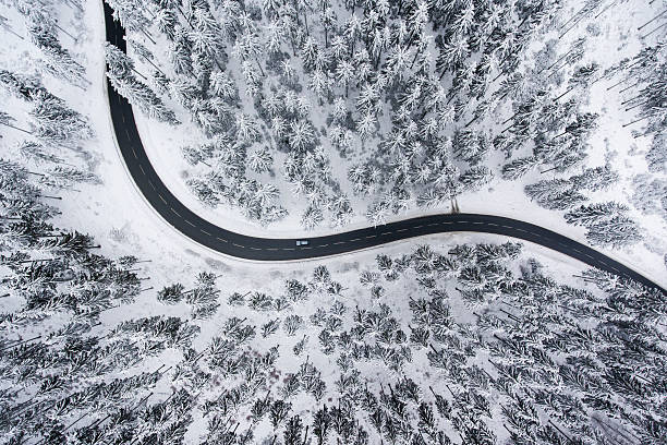 road through the wintery forest - aerial view - vinter väg bil bildbanksfoton och bilder