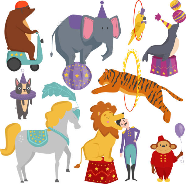 illustrazioni stock, clip art, cartoni animati e icone di tendenza di illustrazione vettoriale degli animali da circo. - circus animal