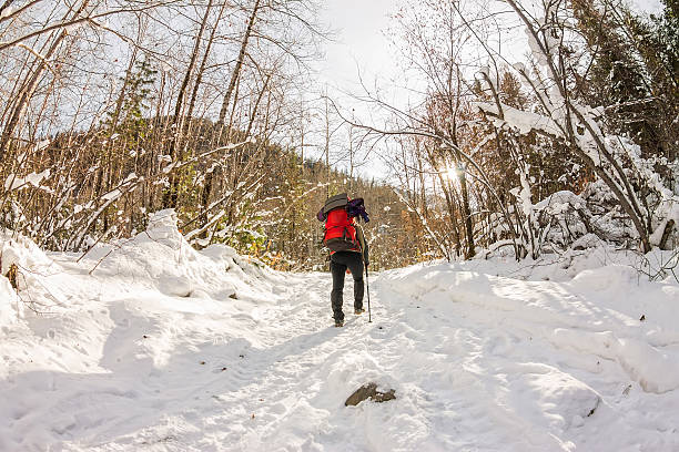 istock Girl backpacker walking on forest road in the winter forest 637848578