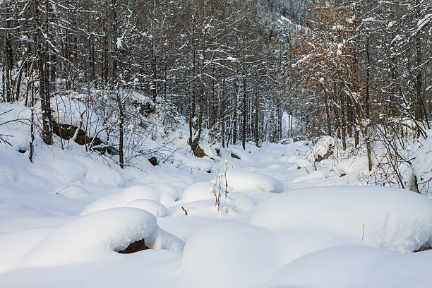 река течет на закате зимой в сугробах в лесу - winter stream river snowing стоковые фото и изображения